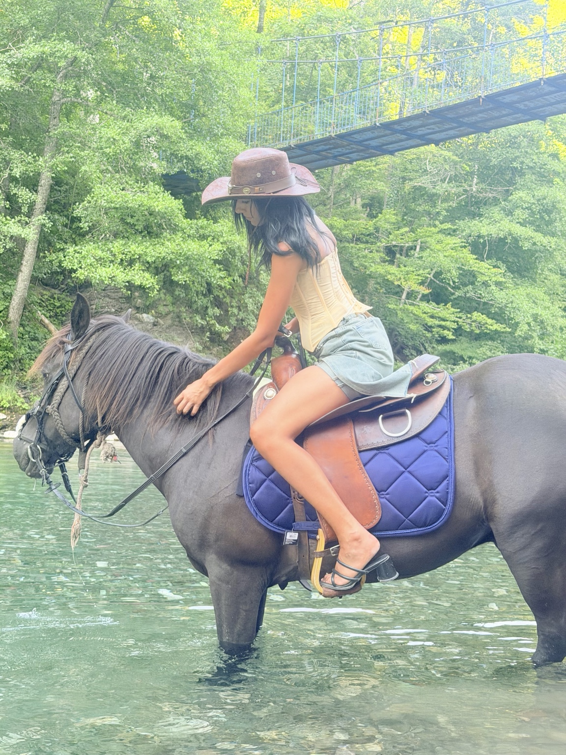 Rider on a dark horse in a shallow river